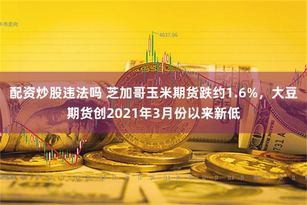 配资炒股违法吗 芝加哥玉米期货跌约1.6%，大豆期货创2021年3月份以来新低