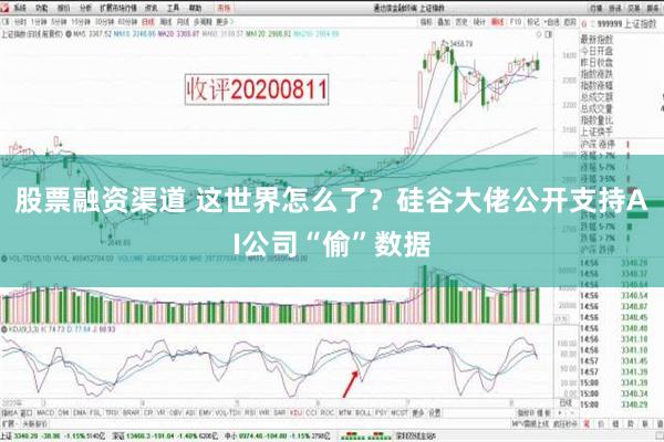 股票融资渠道 这世界怎么了？硅谷大佬公开支持AI公司“偷”数据