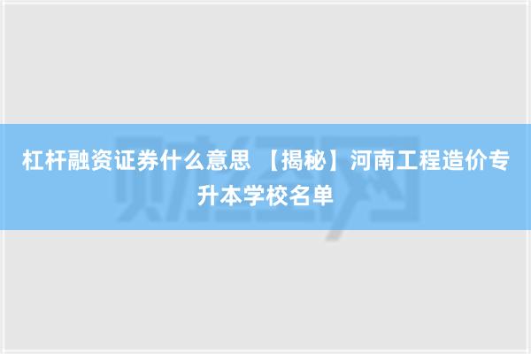 杠杆融资证券什么意思 【揭秘】河南工程造价专升本学校名单