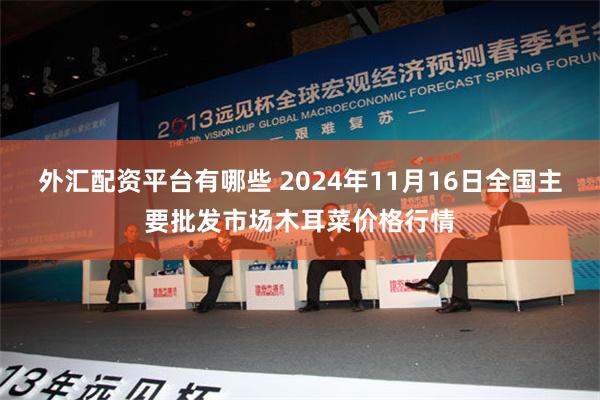 外汇配资平台有哪些 2024年11月16日全国主要批发市场木耳菜价格行情