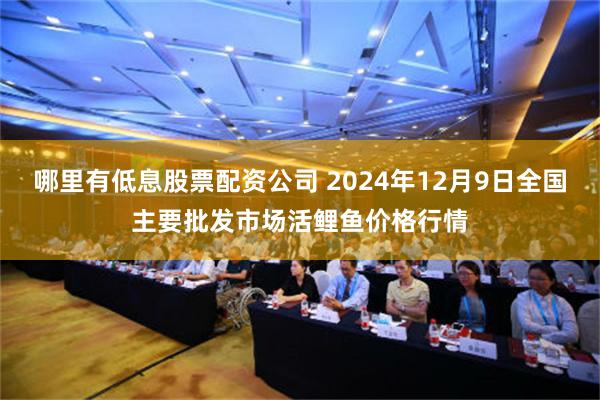 哪里有低息股票配资公司 2024年12月9日全国主要批发市场活鲤鱼价格行情