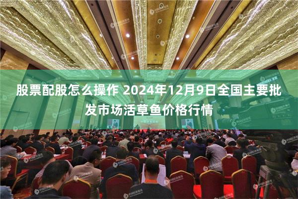 股票配股怎么操作 2024年12月9日全国主要批发市场活草鱼价格行情