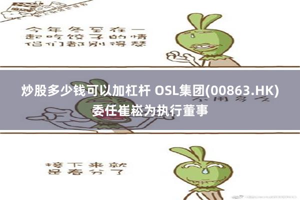 炒股多少钱可以加杠杆 OSL集团(00863.HK)委任崔崧为执行董事